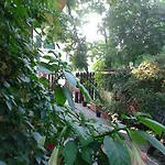 فندق The Colourful Mansion