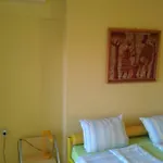 فندق The Colourful Mansion 2*