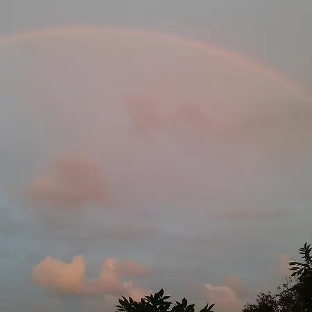 Отель The Colourful Mansion 2*