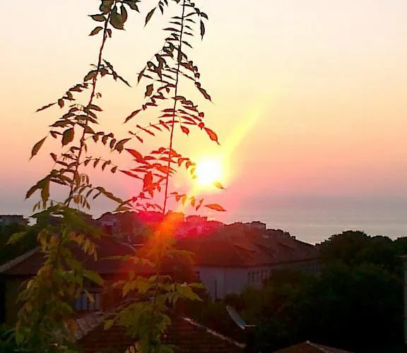 The Colourful Mansion