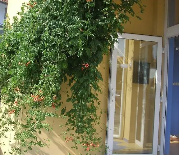 The Colourful Mansion